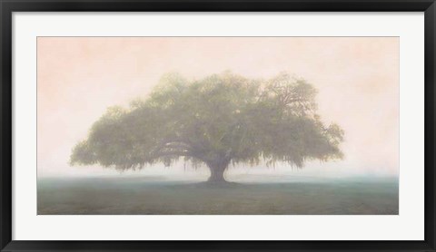 Framed Oak in the Fog Print