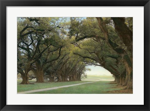 Framed Alley Of The Oaks Print