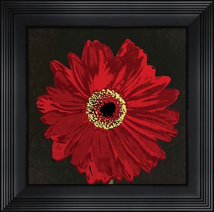 Framed Midnight Gerbera III Print