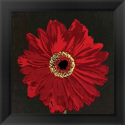 Framed Midnight Gerbera III Print