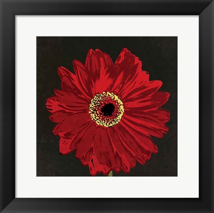 Framed Midnight Gerbera III Print