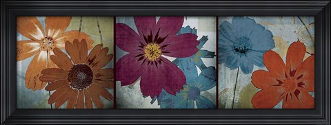Framed In the Cosmos Print