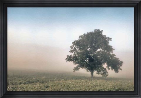 Framed Paradise Haze Print