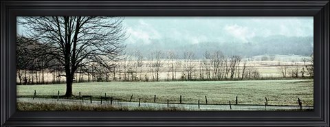 Framed Splendor Print