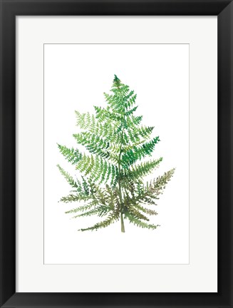 Framed Wild Greens I Print