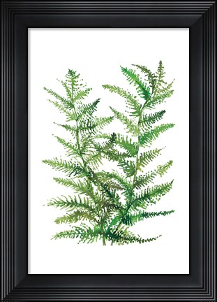 Framed Wild Greens II Print
