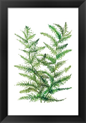 Framed Wild Greens II Print