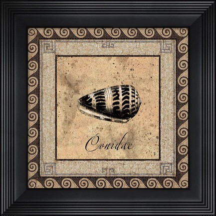 Framed Shell Works I Print