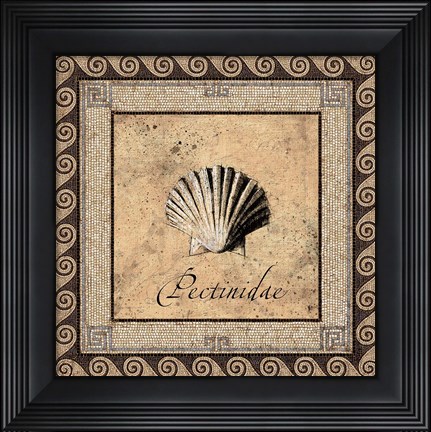 Framed Shell Works II Print