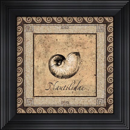 Framed Shell Works III Print