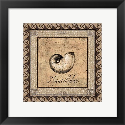Framed Shell Works III Print