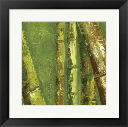 Framed Bamboo Columbia I Print