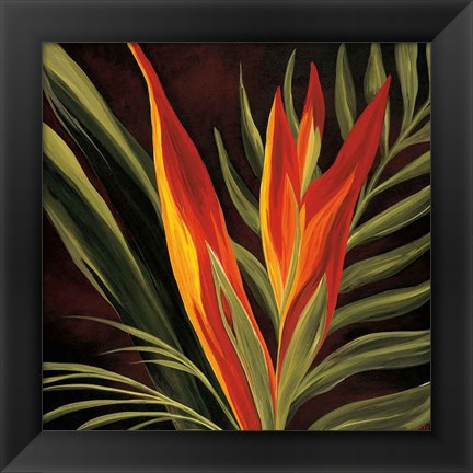 Framed Birds of Paradise II Print