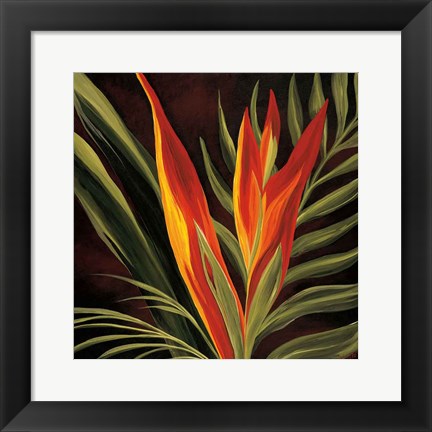 Framed Birds of Paradise II Print