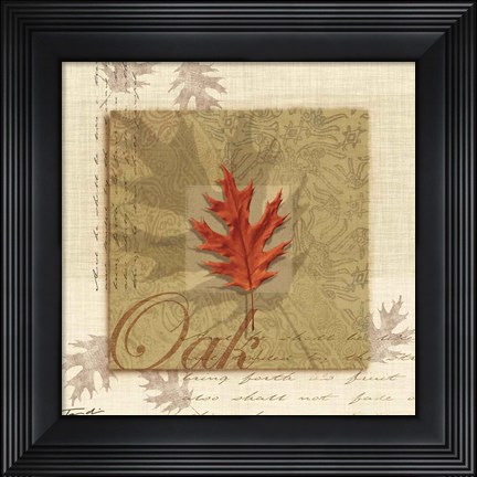 Framed Oak Print