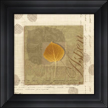 Framed Aspen Print