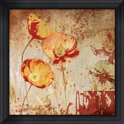 Framed Poppy Heat II Print