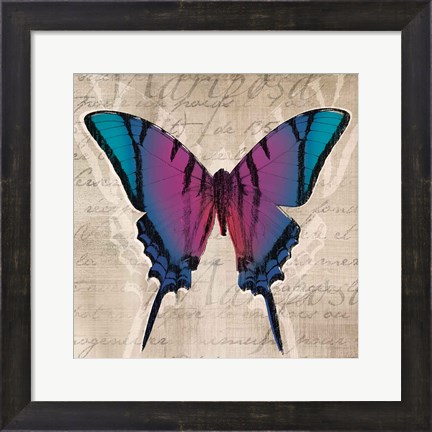 Framed Butterflies IV Print