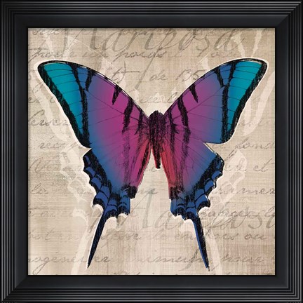 Framed Butterflies IV Print