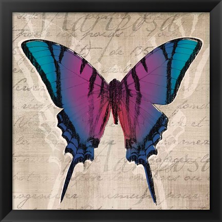 Framed Butterflies IV Print