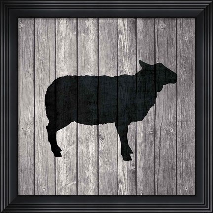 Framed Barn Sheep Print