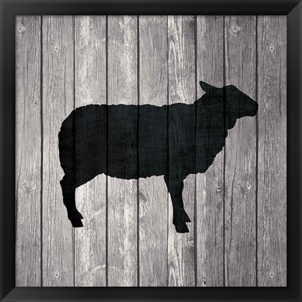 Framed Barn Sheep Print