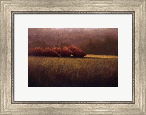 Framed Young Maples Print