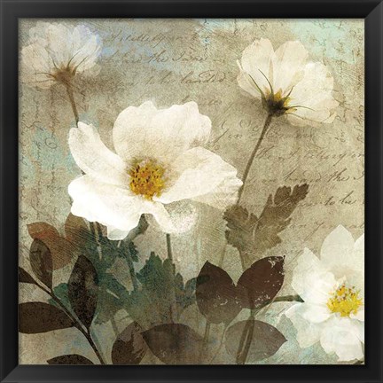 Framed Anemone I Print