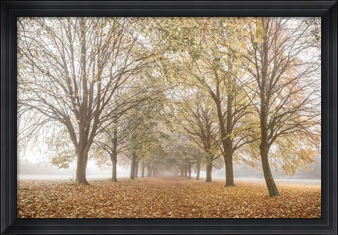 Framed Autumn&#39;s Peace Print