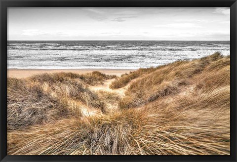 Framed Beach Dunes Print