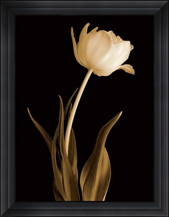 Framed Classic Beauty Print