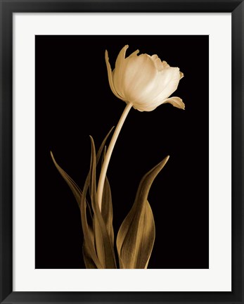 Framed Classic Beauty Print