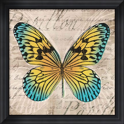 Framed Butterflies I Print
