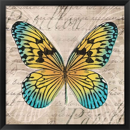 Framed Butterflies I Print