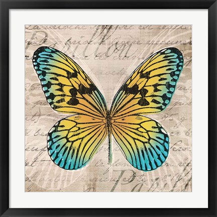 Framed Butterflies I Print