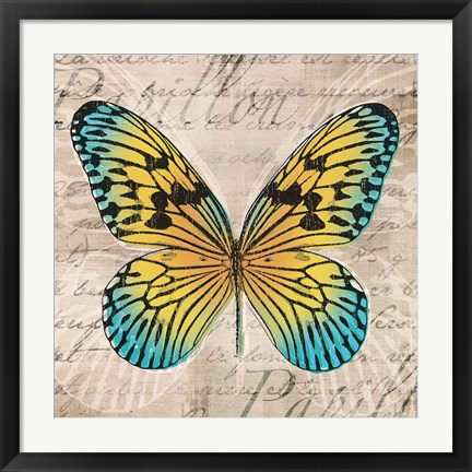 Framed Butterflies I Print