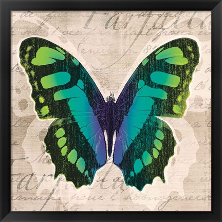 Framed Butterflies II Print