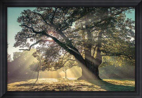 Framed Breaking Through Print