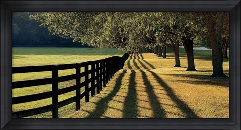 Framed Chasing Shadows Print