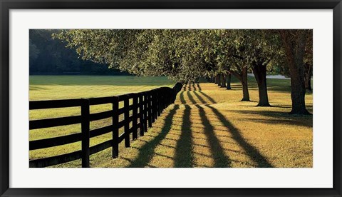 Framed Chasing Shadows Print