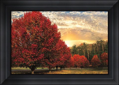 Framed Crimson Trees Print