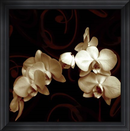 Framed Elegance Print