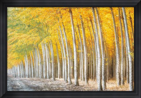 Framed Gold Alley Print