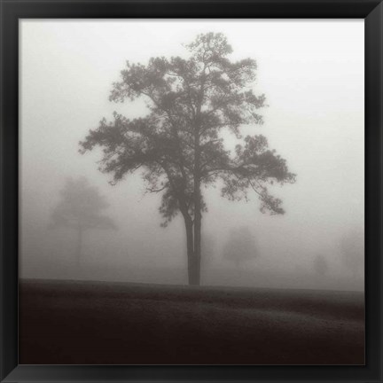 Framed Fog Tree Study I Print