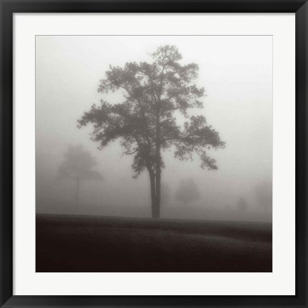 Framed Fog Tree Study I Print