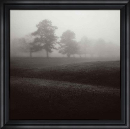 Framed Fog Tree Study II Print
