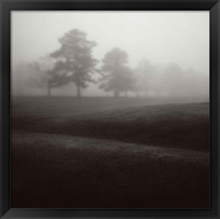 Framed Fog Tree Study II Print