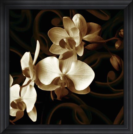 Framed Grace Print