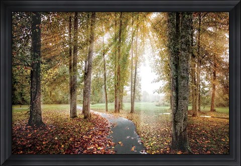 Framed Following The Light Print