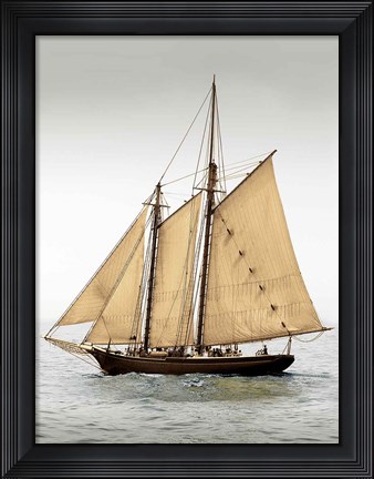 Framed Mystic Journey II Print